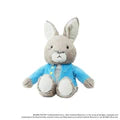 Warmies Peter Rabbit image 0