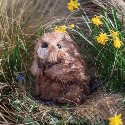 Wrendale Chester Beaver Junior image 1
