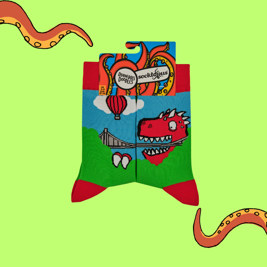 Sockotus Dino Doddle Bristol Socks