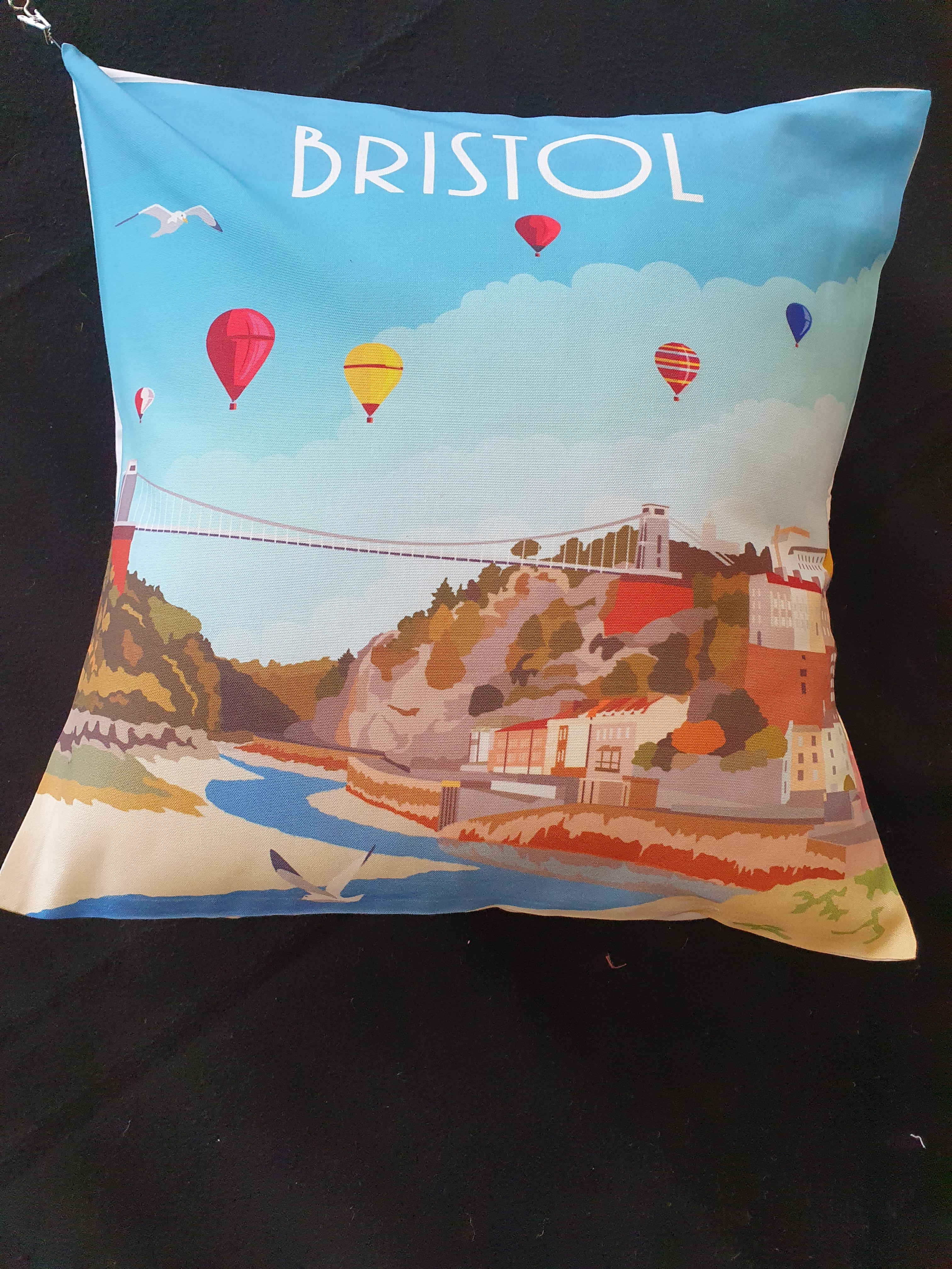 Bristol Pillow image 0