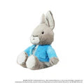 Warmies Peter Rabbit image 1