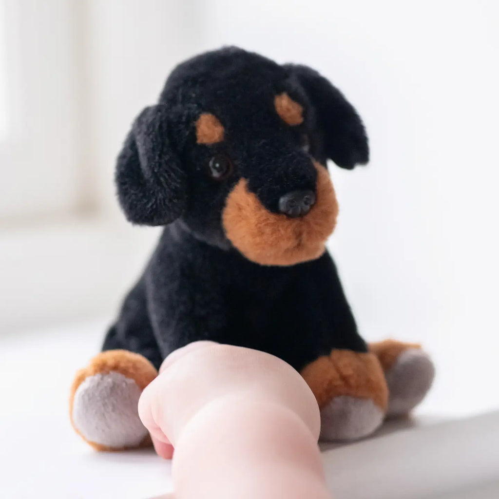 Charlie Bears Cuddle Cub Rottie Dog